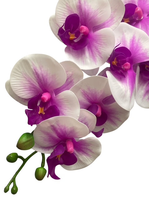 37'' Real Touch Single Orchid ( INT055-#1 Cream Pink )
