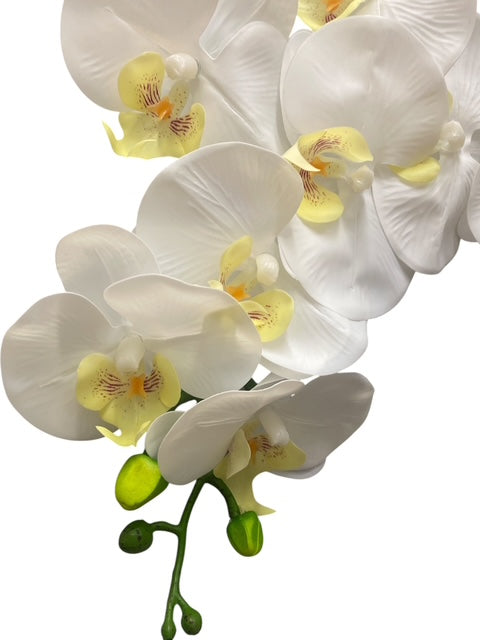 37'' Real Touch Single Orchid ( INT055-#10 Cream )