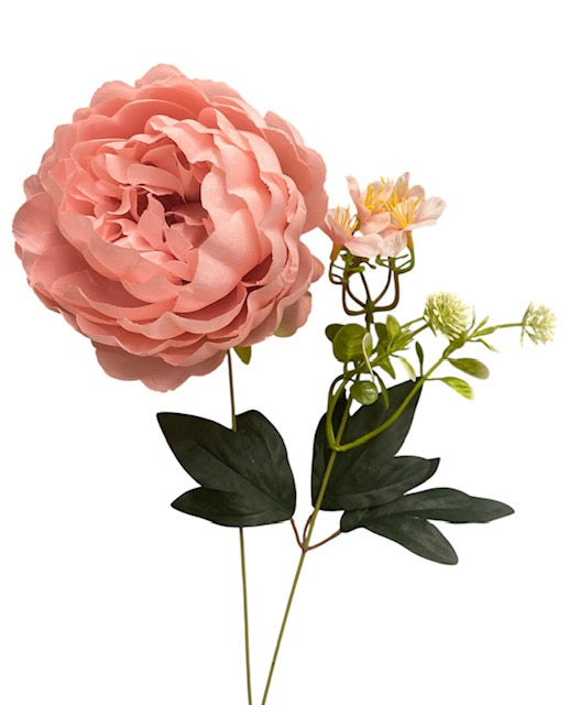 20'' Peony Bush. ( WHB25302-#9 New Blush )