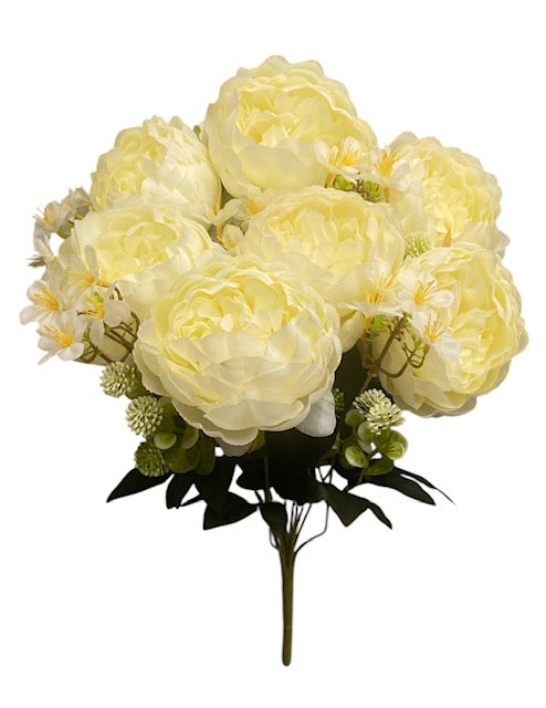 20'' Peony Bush. ( WHB25302-#1 Cream )