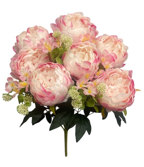 20'' Peony Bush. ( WHB25302-#4 Pink )