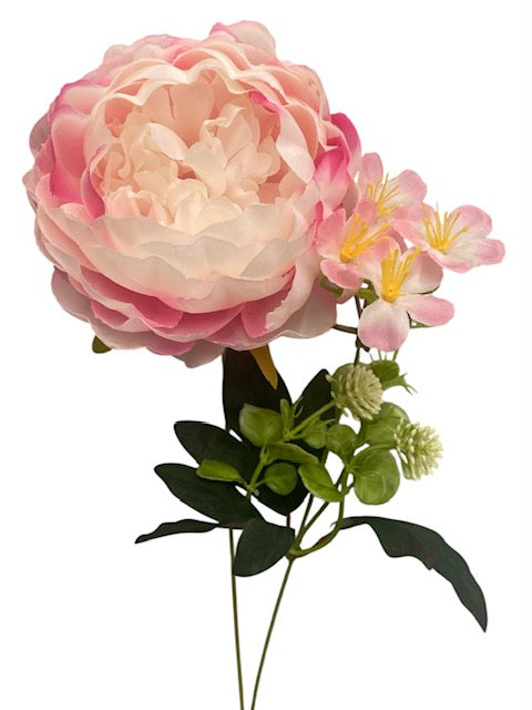 20'' Peony Bush. ( WHB25302-#4 Pink )