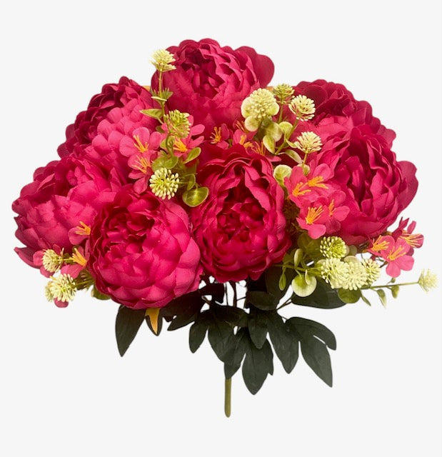 20'' Peony Bush. ( WHB25302-#8 Beauty )