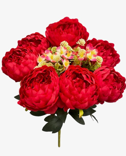 20'' Peony Bush. ( WHB25302-#6 Red )