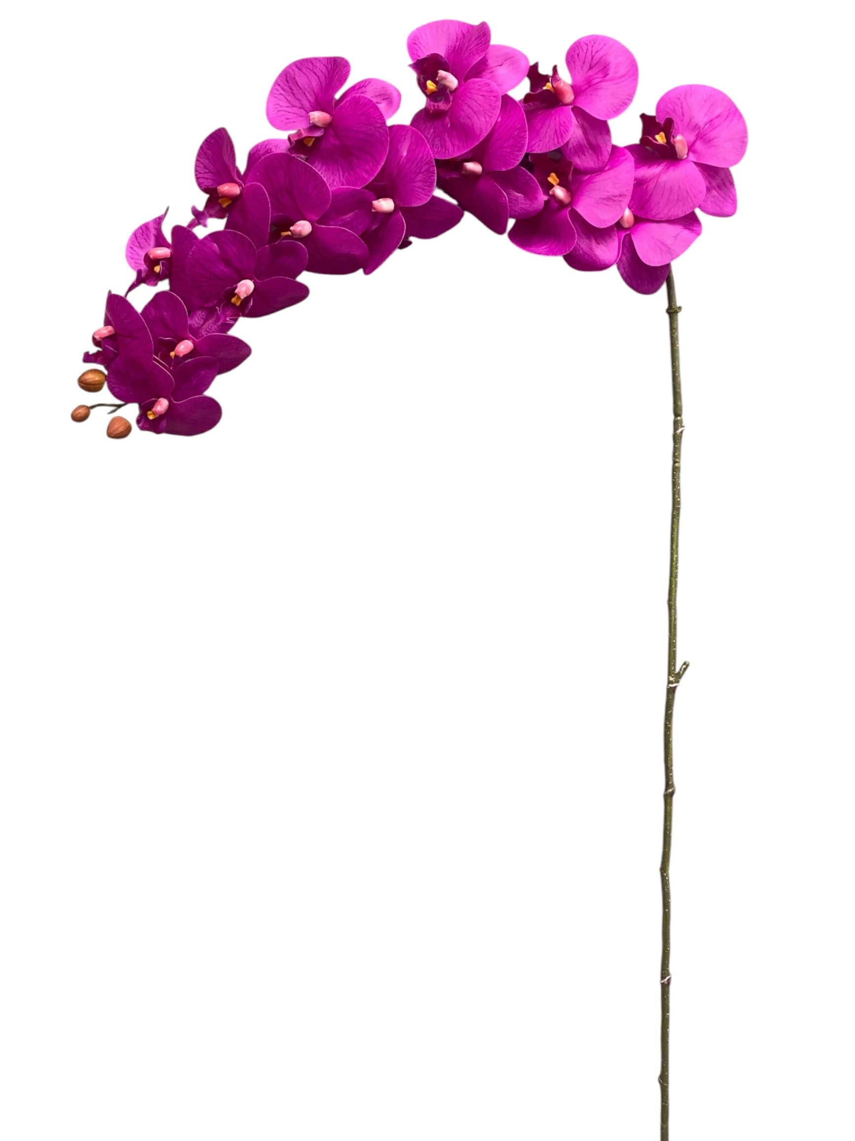 49.5'' Butterfly Orchid Stem (SFS021-4902-Lavender )