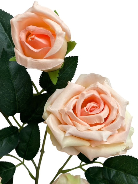33'' Single Open Rose ( INT106-#23 Cream Pink )