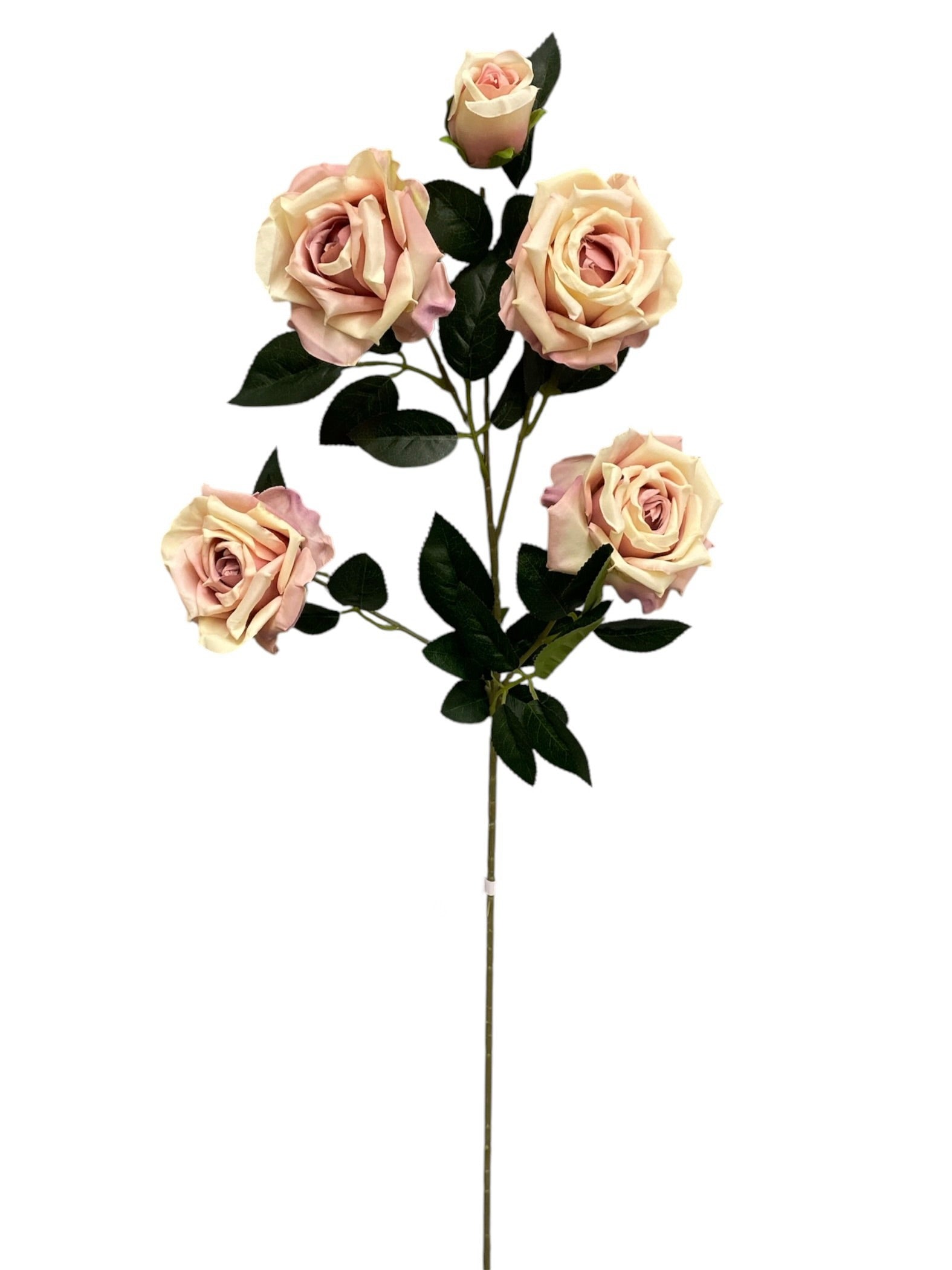 33'' Single Open Rose ( INT106-#1 Cream Mauve )