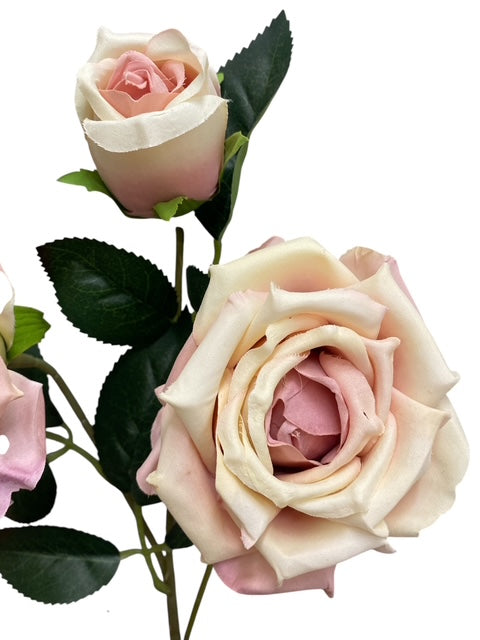 33'' Single Open Rose ( INT106-#1 Cream Mauve )