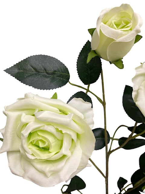 33'' Single Open Rose ( INT106-#21 Green )