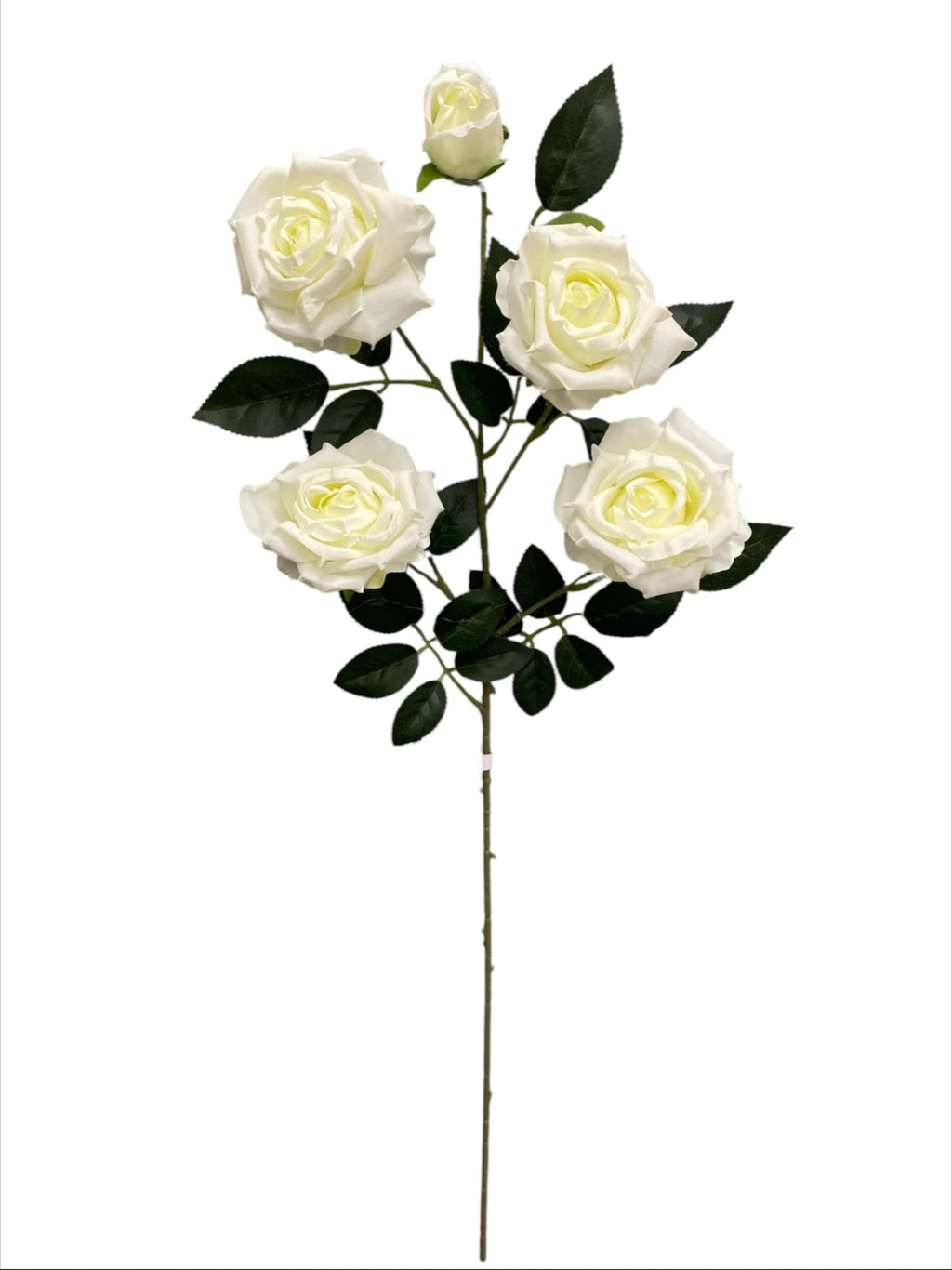 33'' Single Open Rose ( INT106-#17 Cream )