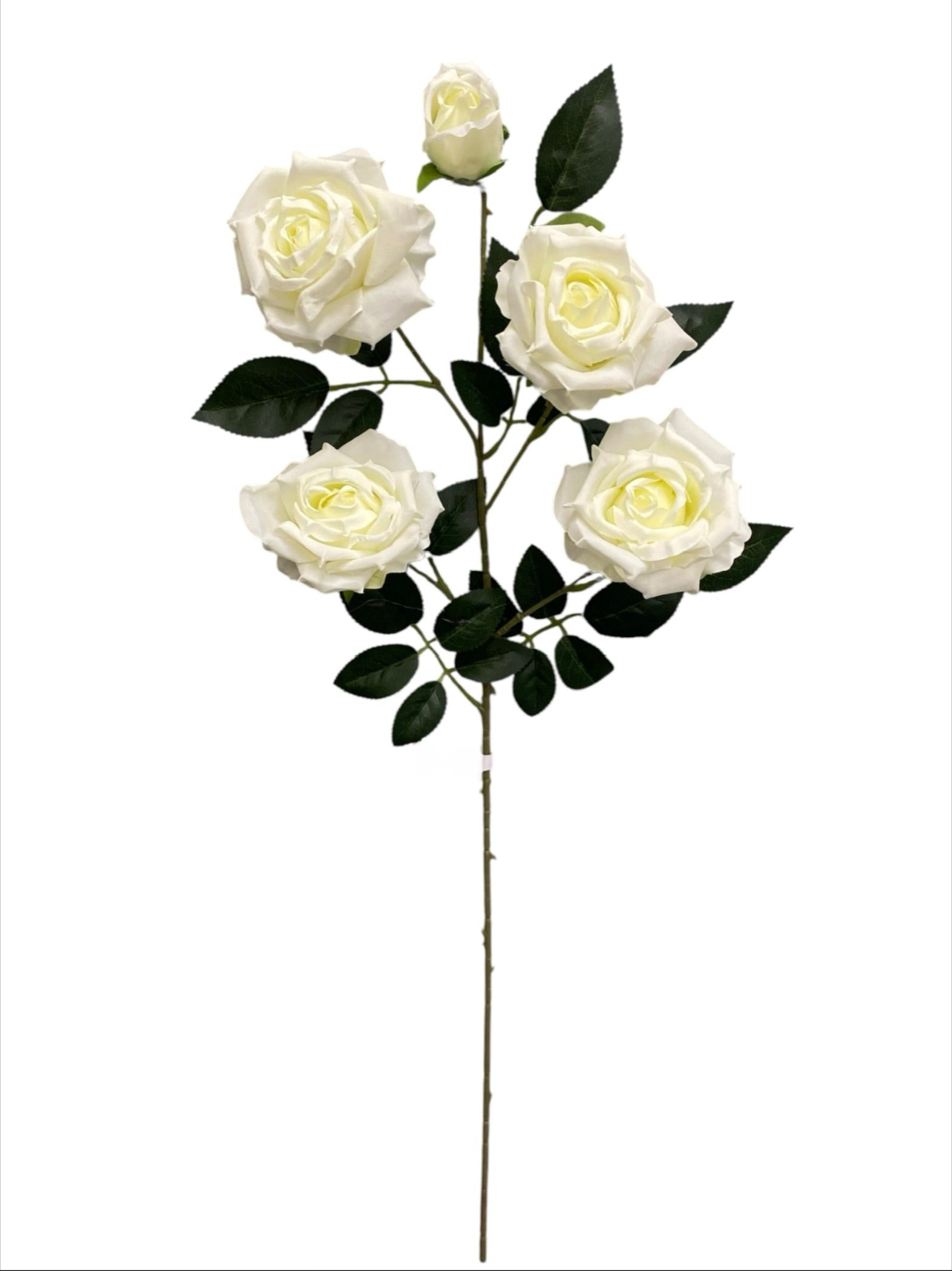 33'' Single Open Rose ( INT106-#17 Cream )