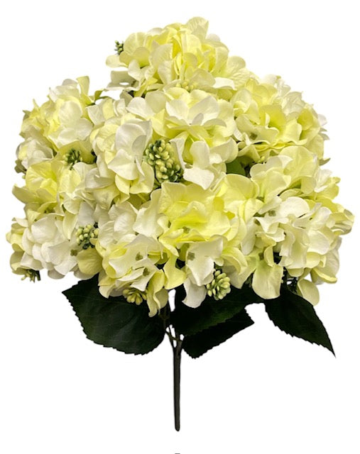 18'' Pongee Hydrangea Bush ( INT24007-#32 Soft Green )