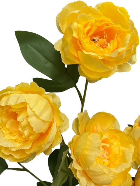 24'' Single Peony Spray ( INT5546-#2 Yellow )