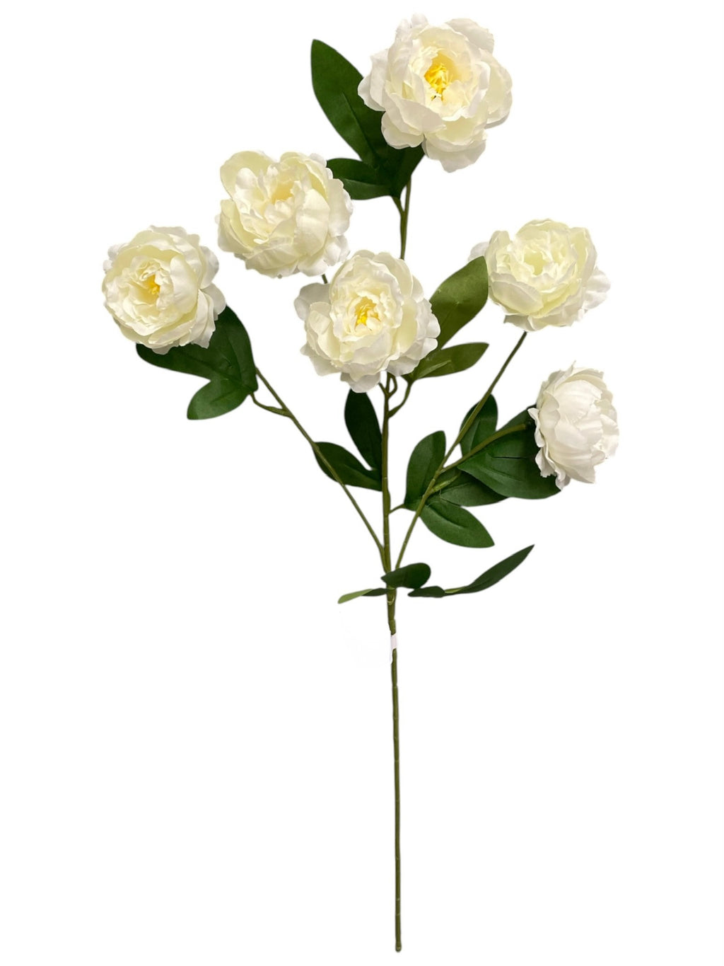 24'' Single Peony Spray ( INT5546-#4 Cream )