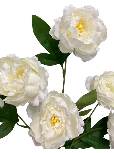 24'' Single Peony Spray ( INT5546-#4 Cream )