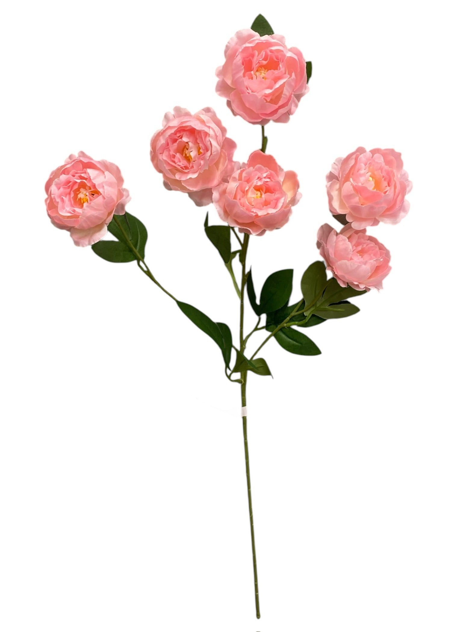 24'' Single Peony Spray ( INT5546-#3 Pink )