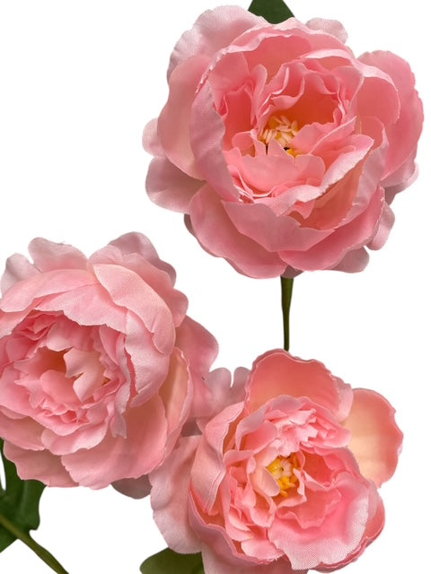 24'' Single Peony Spray ( INT5546-#3 Pink )