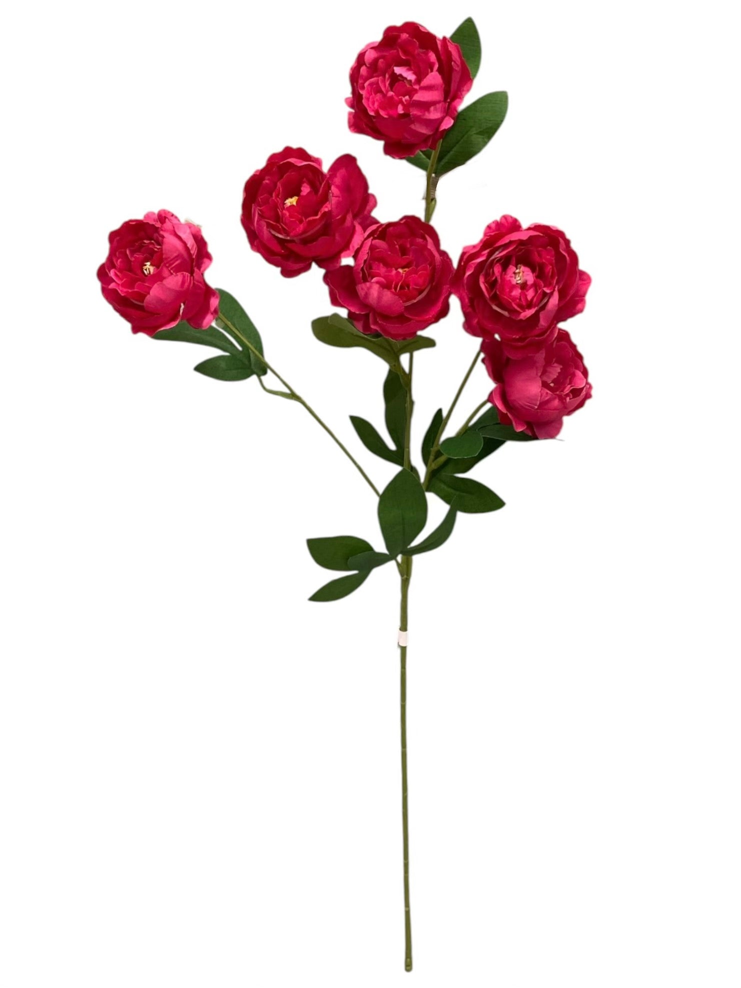 24'' Single Peony Spray ( INT5546-#9 New Fuchsia )
