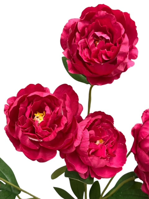 24'' Single Peony Spray ( INT5546-#9 New Fuchsia )