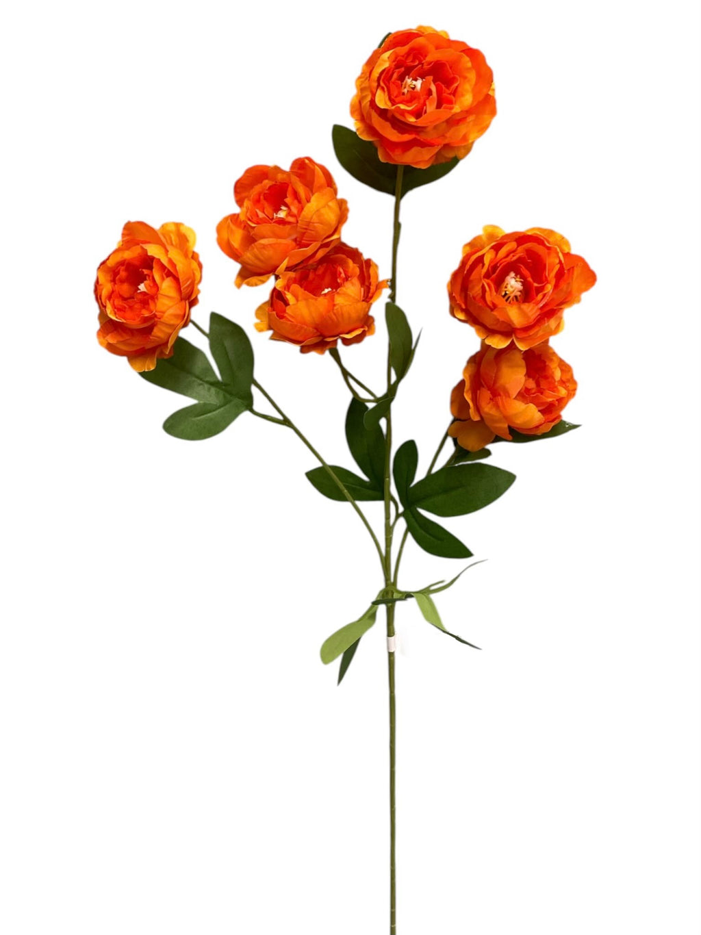 24'' Single Peony Spray ( INT5546-#8 Orange )