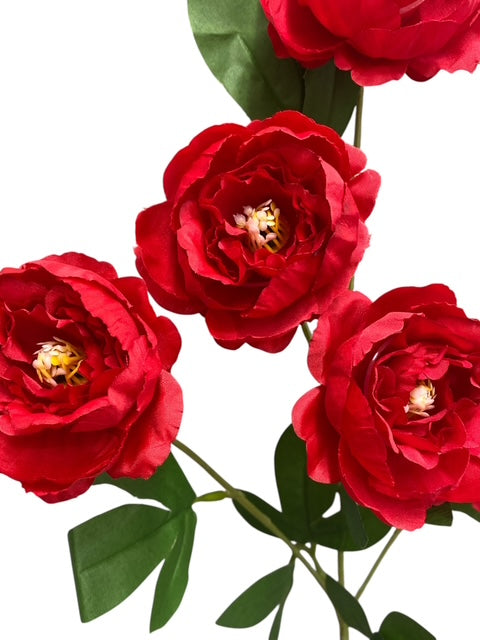 24'' Single Peony Spray ( INT5546-#5 Red )