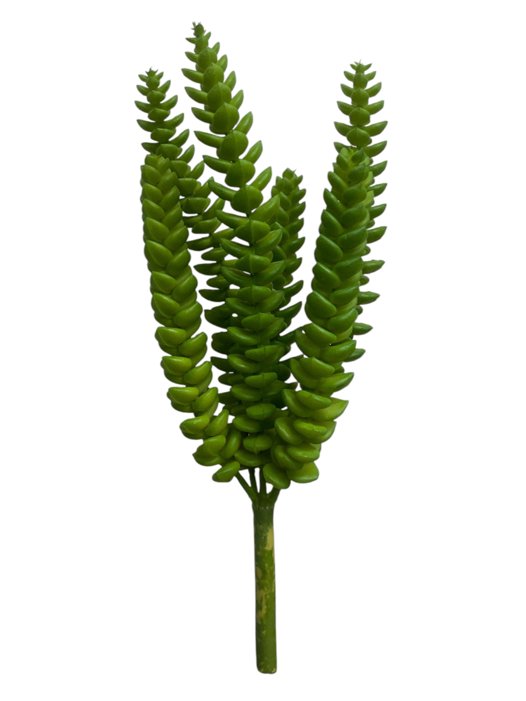 9.5'' Crassula Pick ( SGS021-8355-Green )