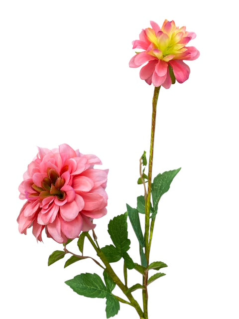40" Dahila Spray ( FSD682-PK/BT )