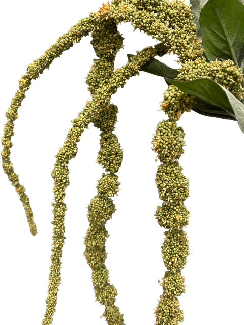 45" Amaranthus Spray ( GTA130-Green )