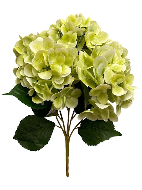 20'' Real Touch Hydrangea Bush ( INT002-#34 Apple Green )( J05013 )