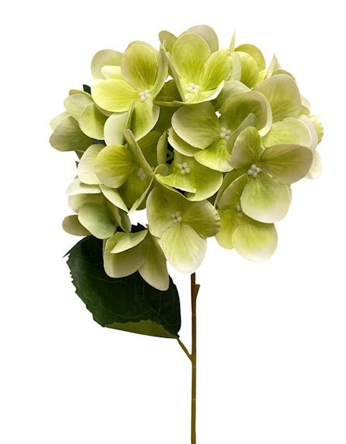 20'' Real Touch Hydrangea Bush ( INT002-#34 Apple Green )( J05013 )
