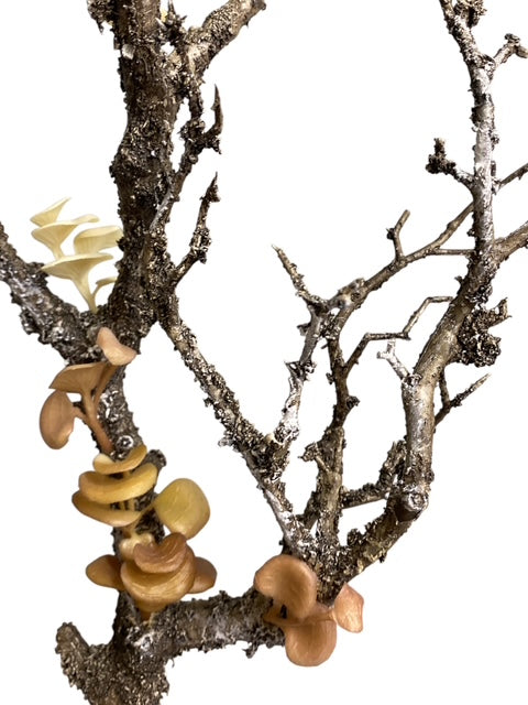 27" Plastic Mushroom Twig Branch ( PST333-Brown )