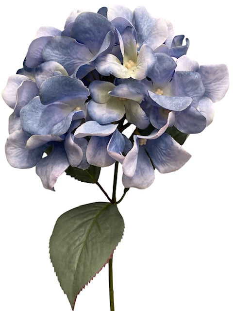 17.5' Hydrangea Bush ( TY3795-LTBLPU )