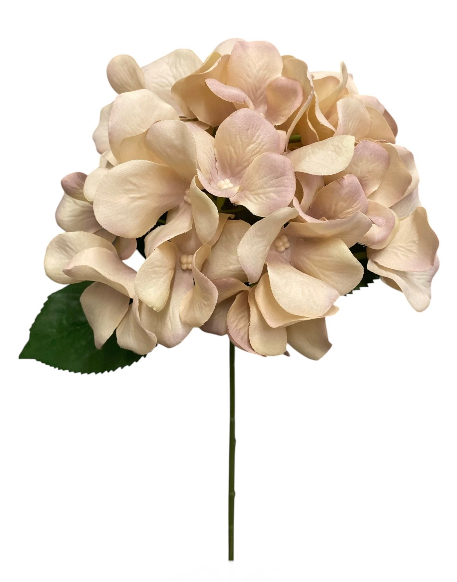 18'' Hydrangea Bush ( INT9938-LT/BR )