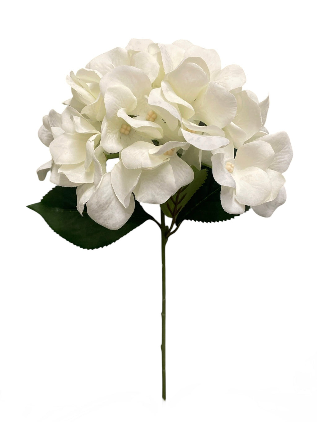 18'' Hydrangea Bush ( INT9938- N/CR )