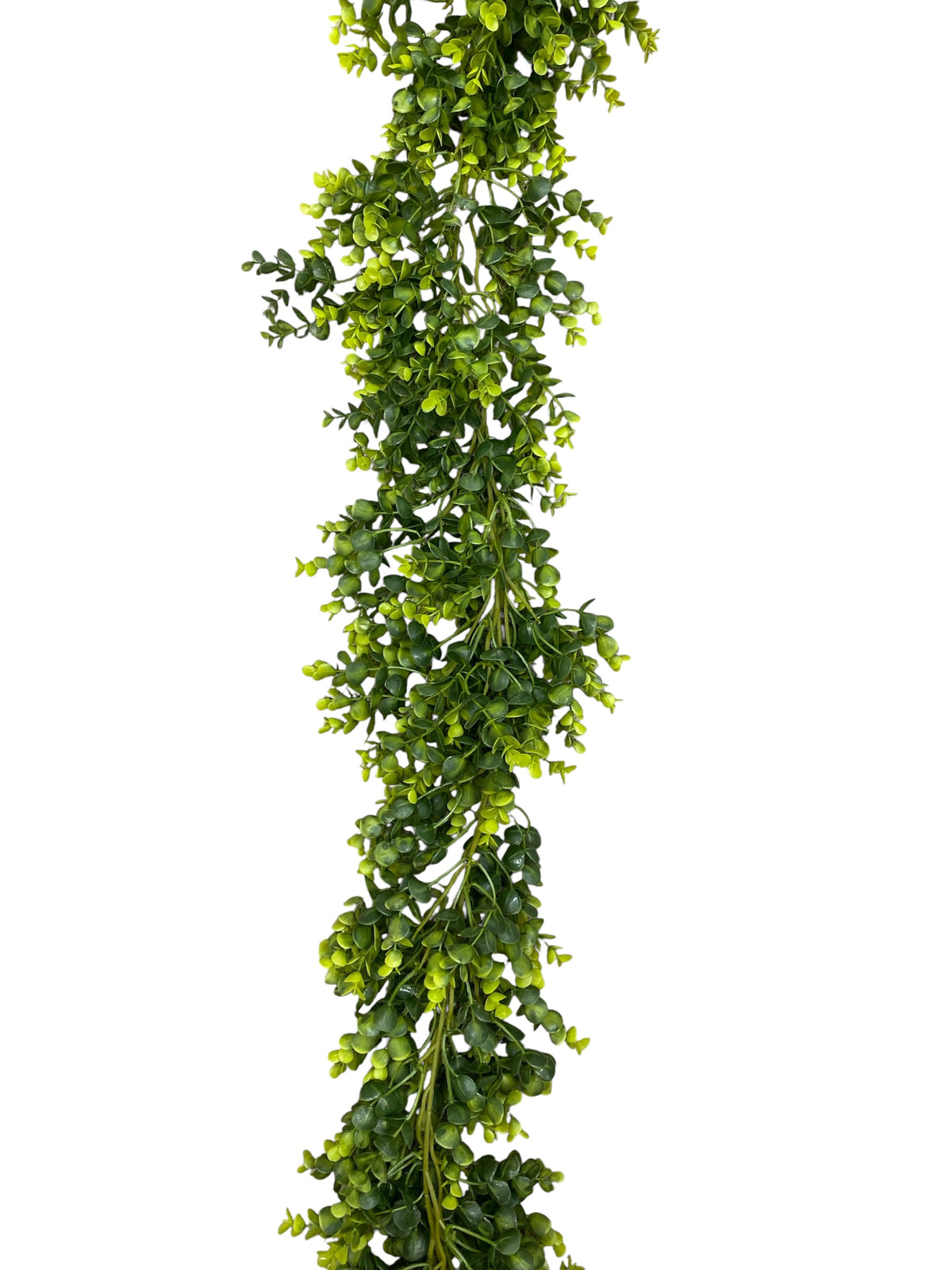 6' Eucalyptus Garland ( 20198-Green )