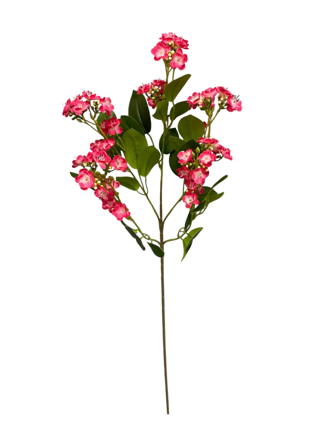 31'' Single Jasmine ( J10112- #6 Beauty )