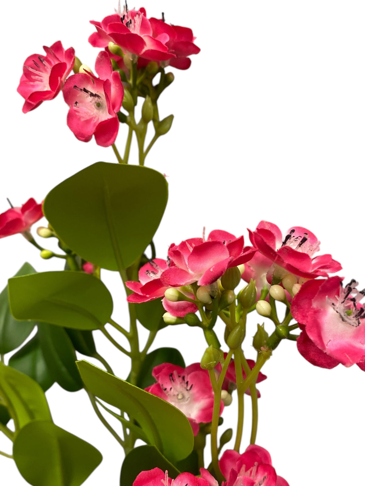 31'' Single Jasmine ( J10112- #6 Beauty )