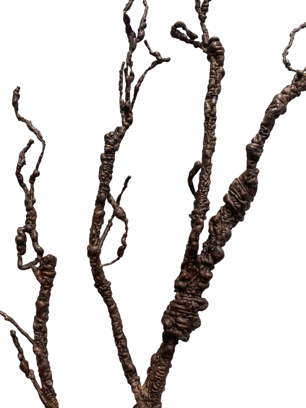 45'' Twig Branch ( 193098-Brown )