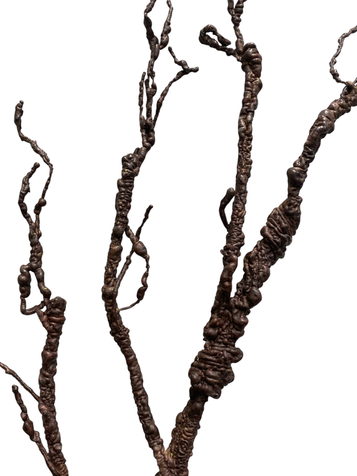 45'' Twig Branch ( 193098-Brown )