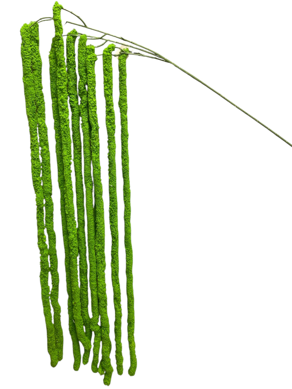 64'' Amaranthus Bush ( J10110-#2 Green )