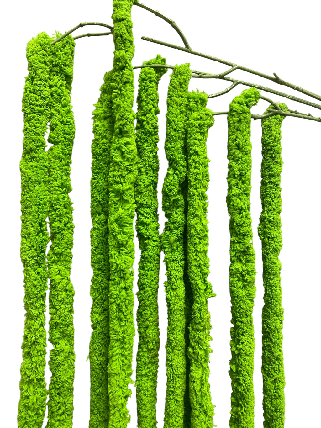 64'' Amaranthus Bush ( J10110-#2 Green )