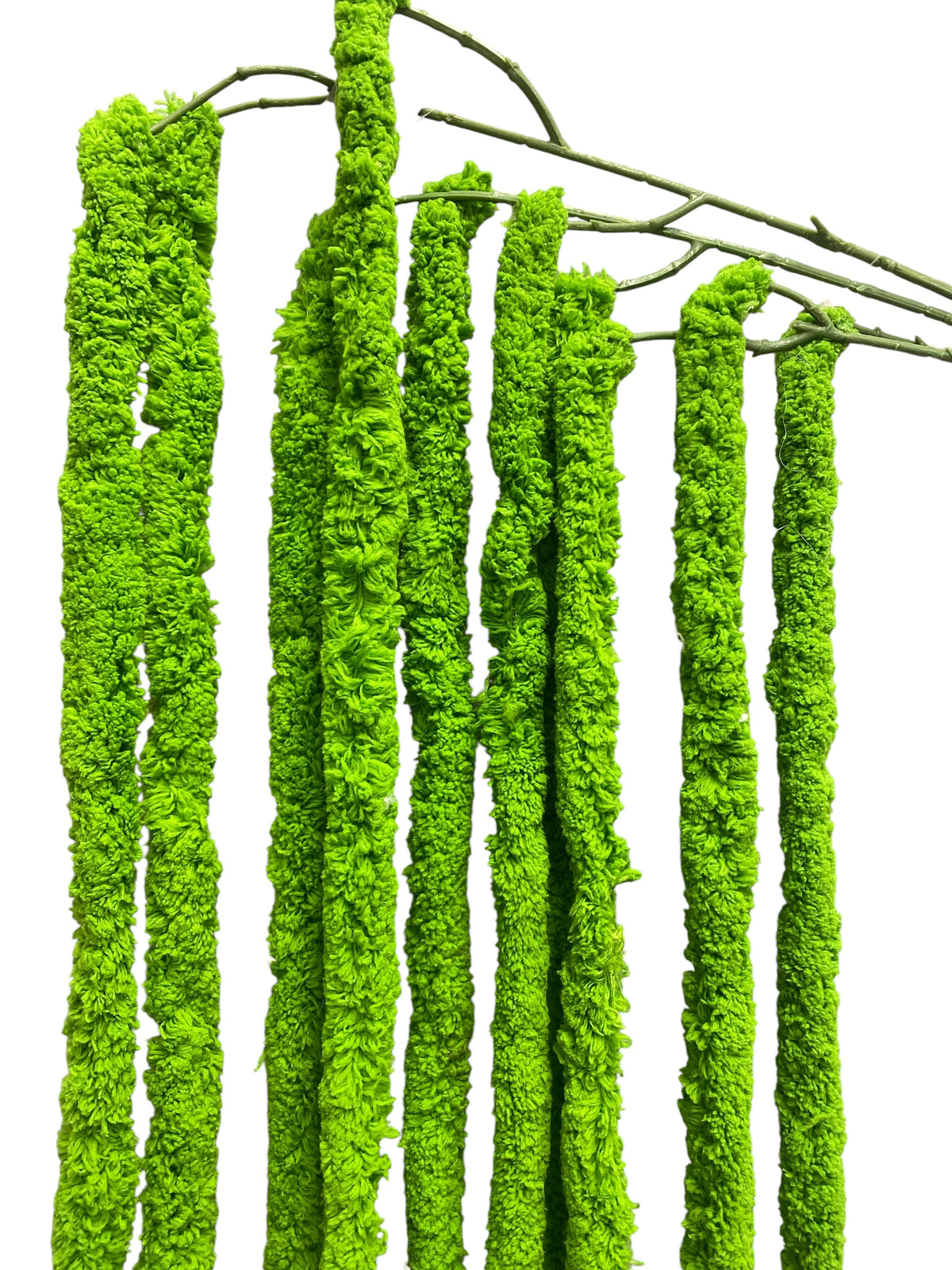 64'' Amaranthus Bush ( J10110-#2 Green )