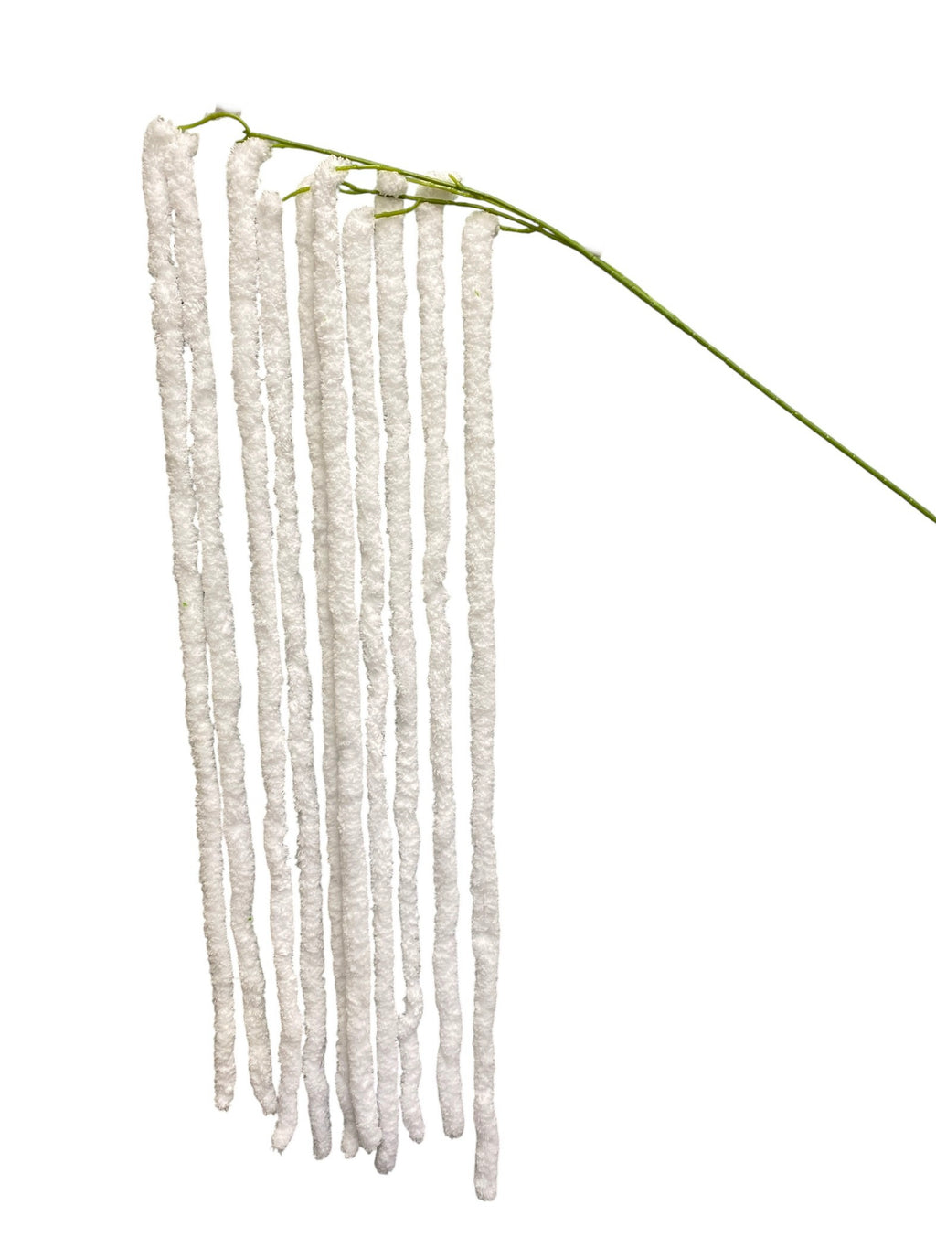 64'' Amaranthus Bush ( J10110-#1 Cream )