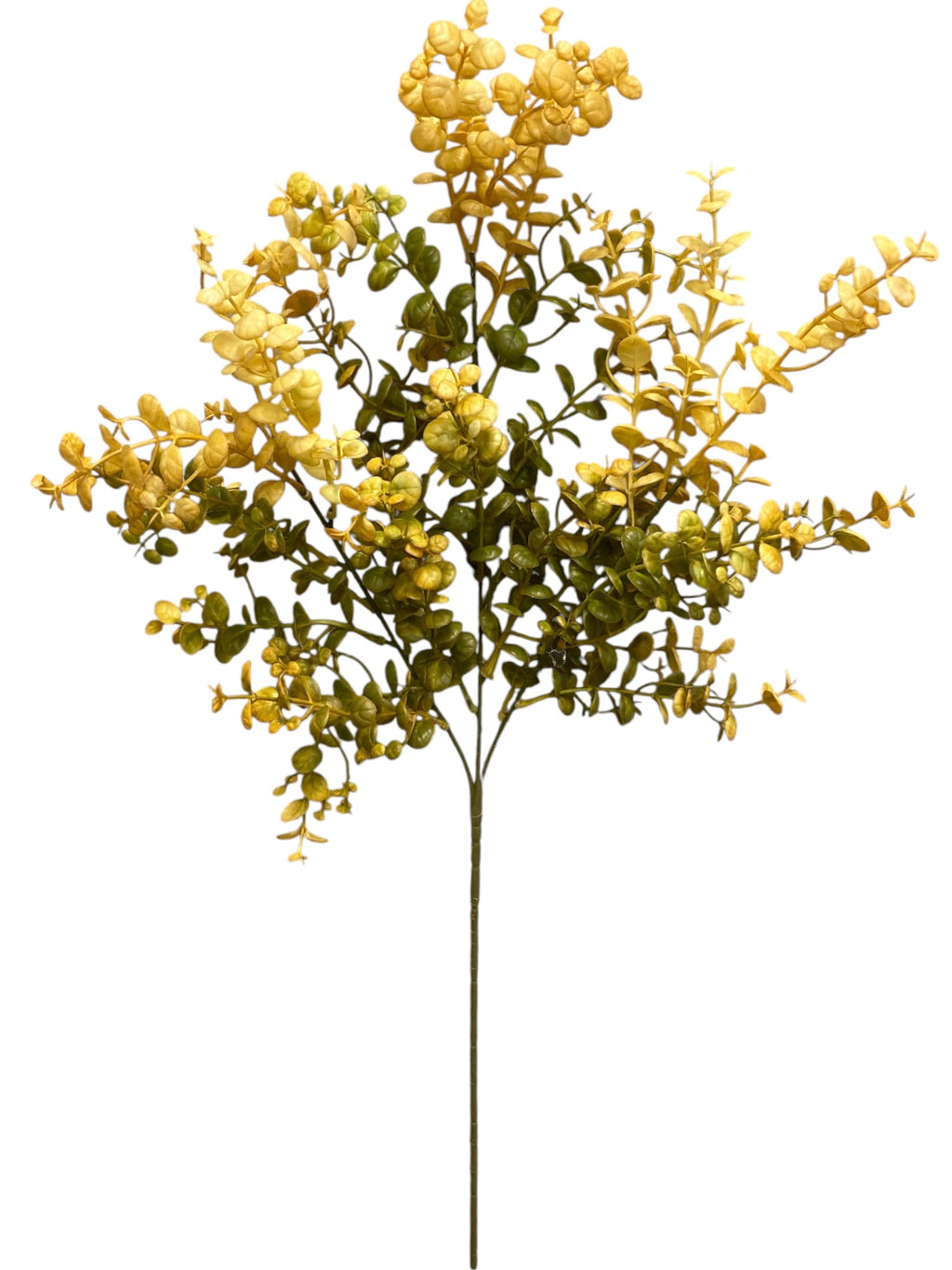 29'' Eucalyptus Spray ( 247019-GN )