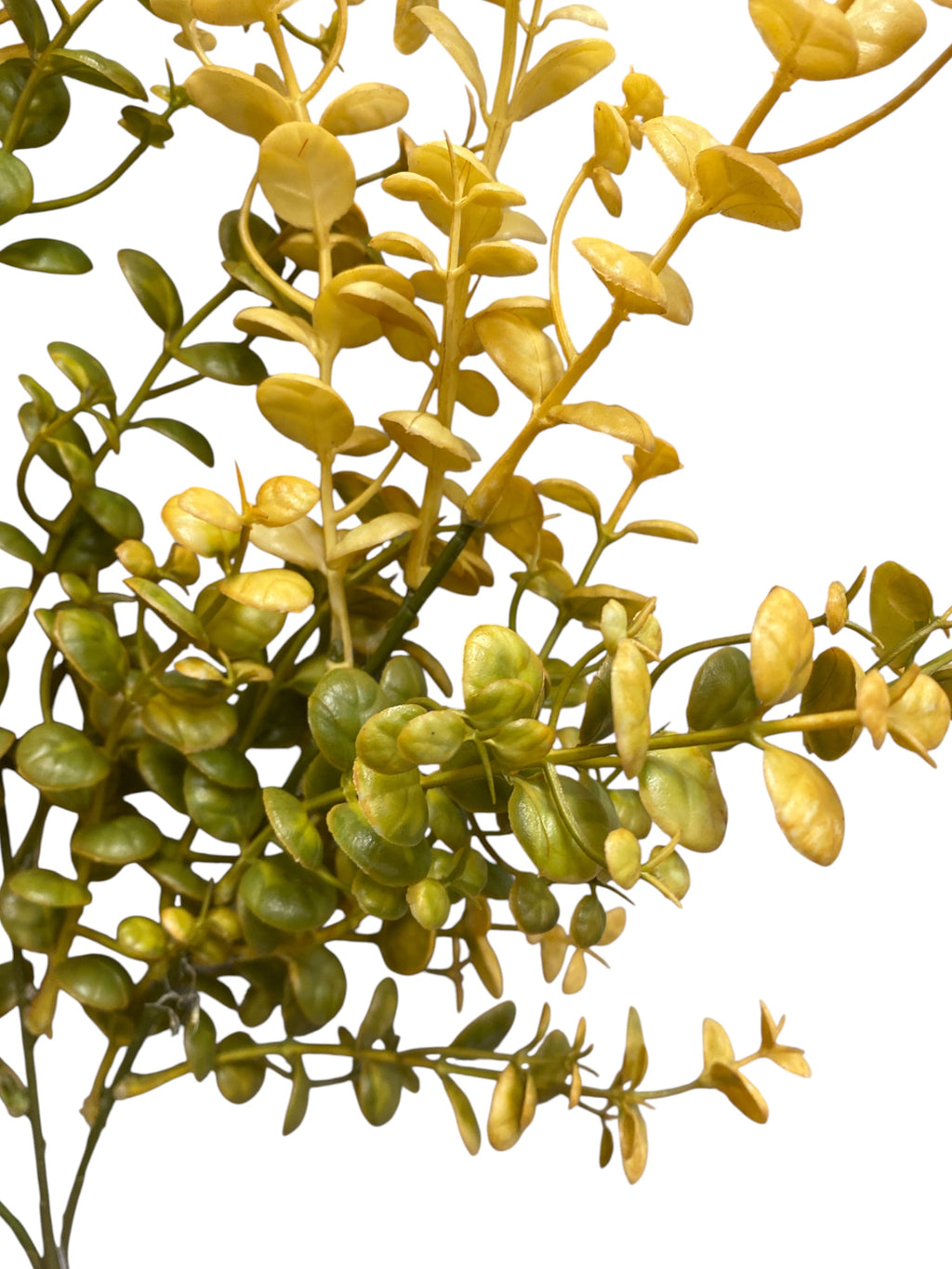 29'' Eucalyptus Spray ( 247019-GN )