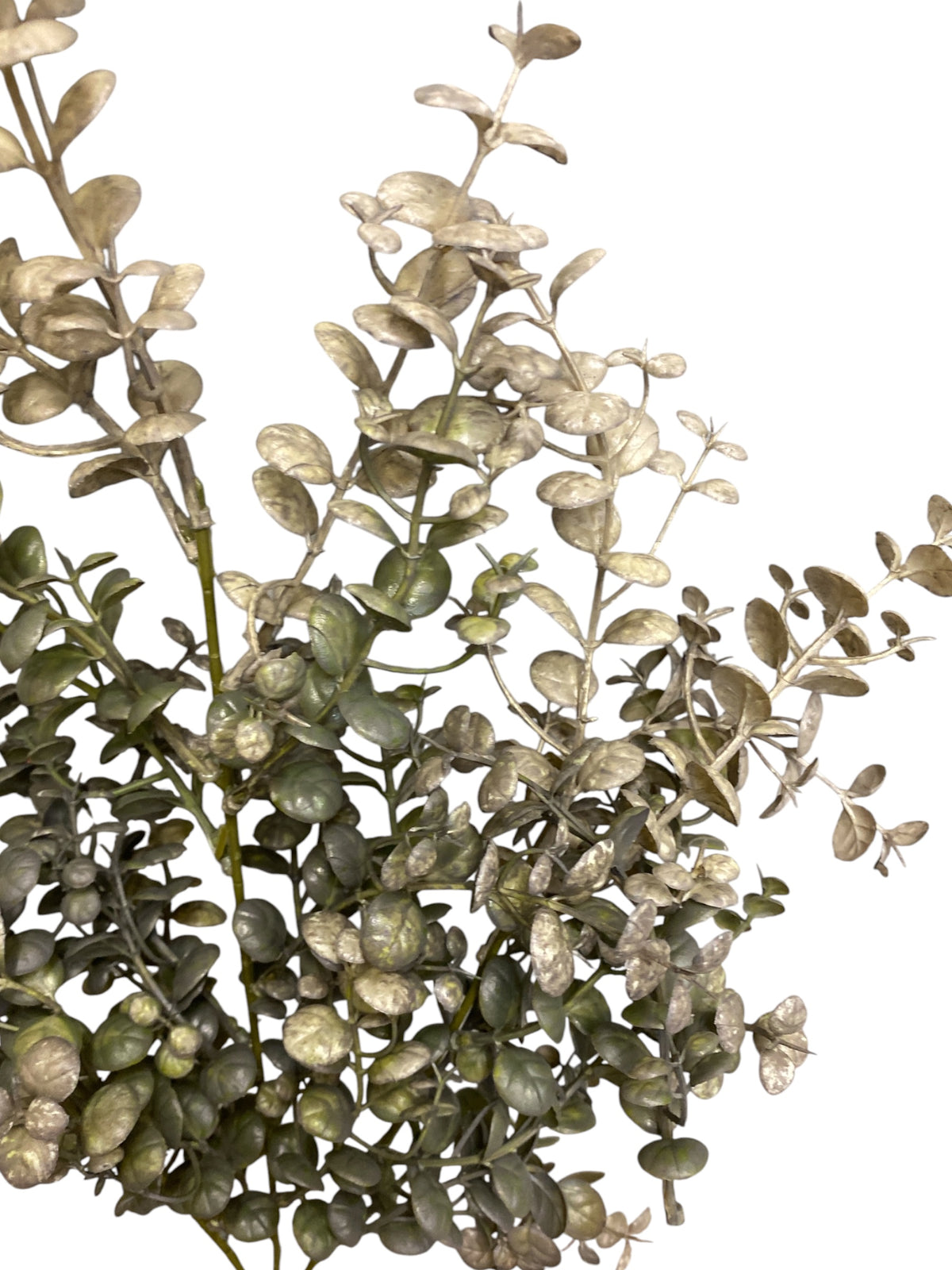 29'' Eucalyptus Spray ( 247019-GR )