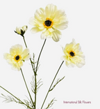 32" Faux Cosmos Spray ( FSC020-Cream )