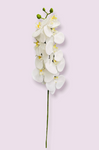 36" Real Touch Phalaenopsis Spray ( FSO639-White )