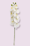 36" Real Touch Phalaenopsis Spray ( FSO639-White )