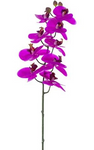 36" Real Touch Phalaenopsis Spray ( FSO639-OC )